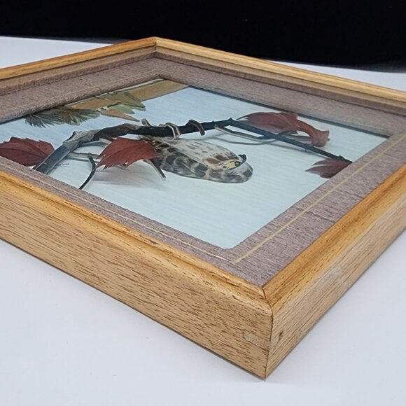 Vintage Bird Eagle Art Shadow Box Feathers Leaves Wooden Frame Nature Scene - Picture 9 of 12